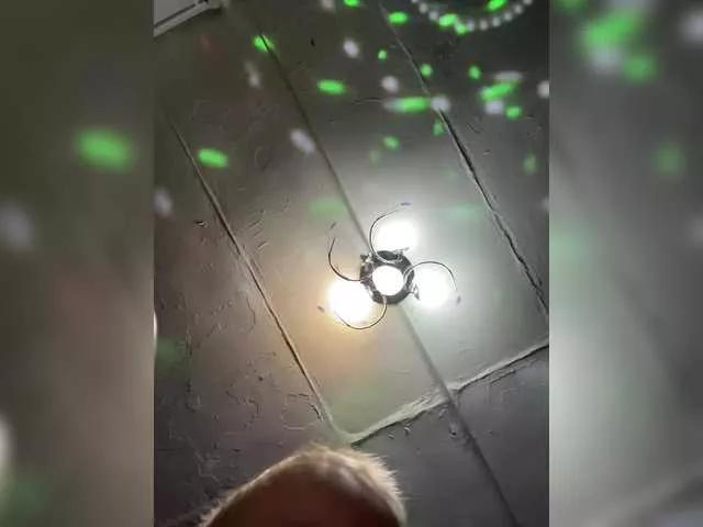 Futanark on BongaCams 