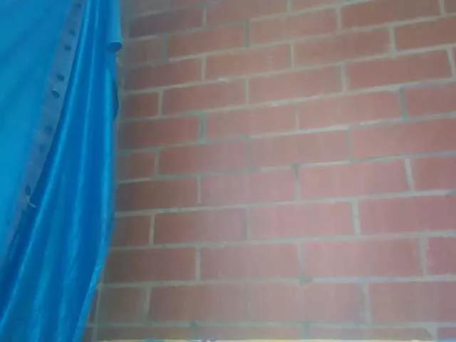 jones-scarlet on BongaCams 