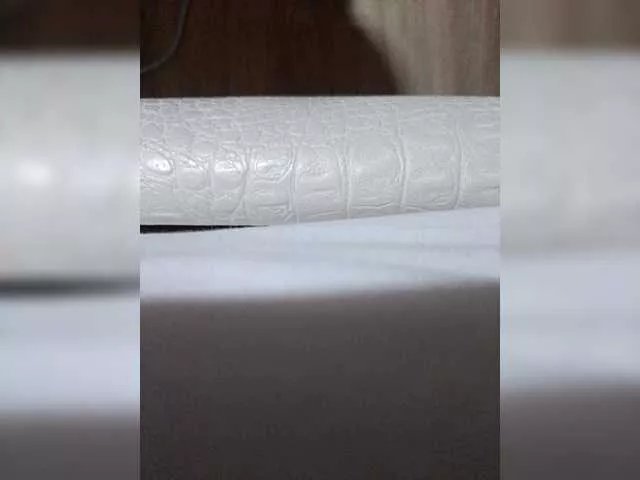 Offline Laef1881 on BongaCams