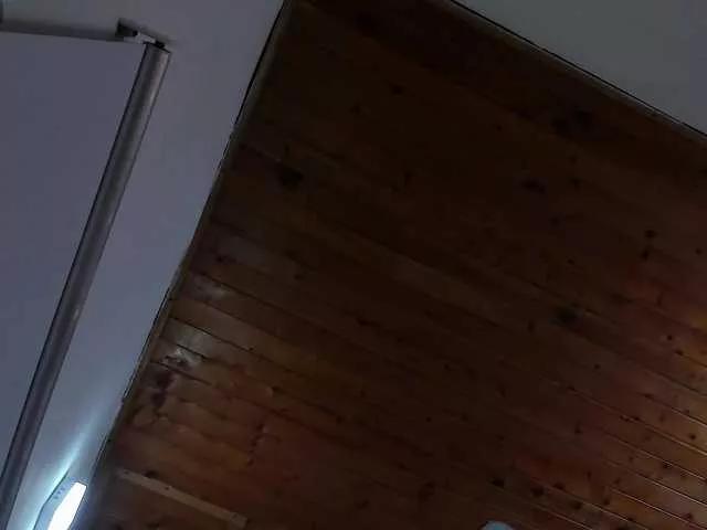 larispark on BongaCams 