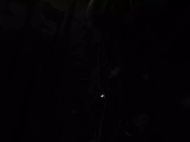 Nosorogka1980 on BongaCams 