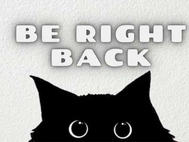 Offline ShandraVanderwege on BongaCams