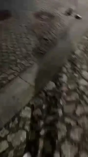 Offline Alexnacam on Cam4