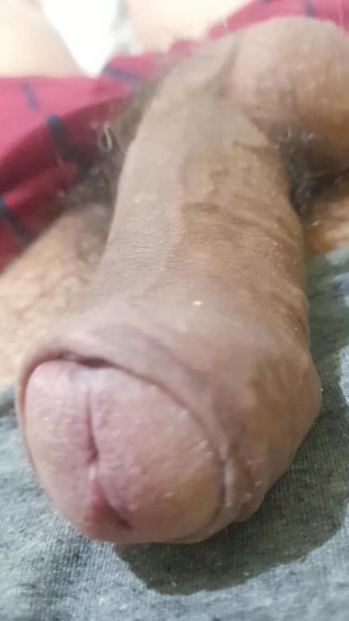 alfm1 on Cam4 