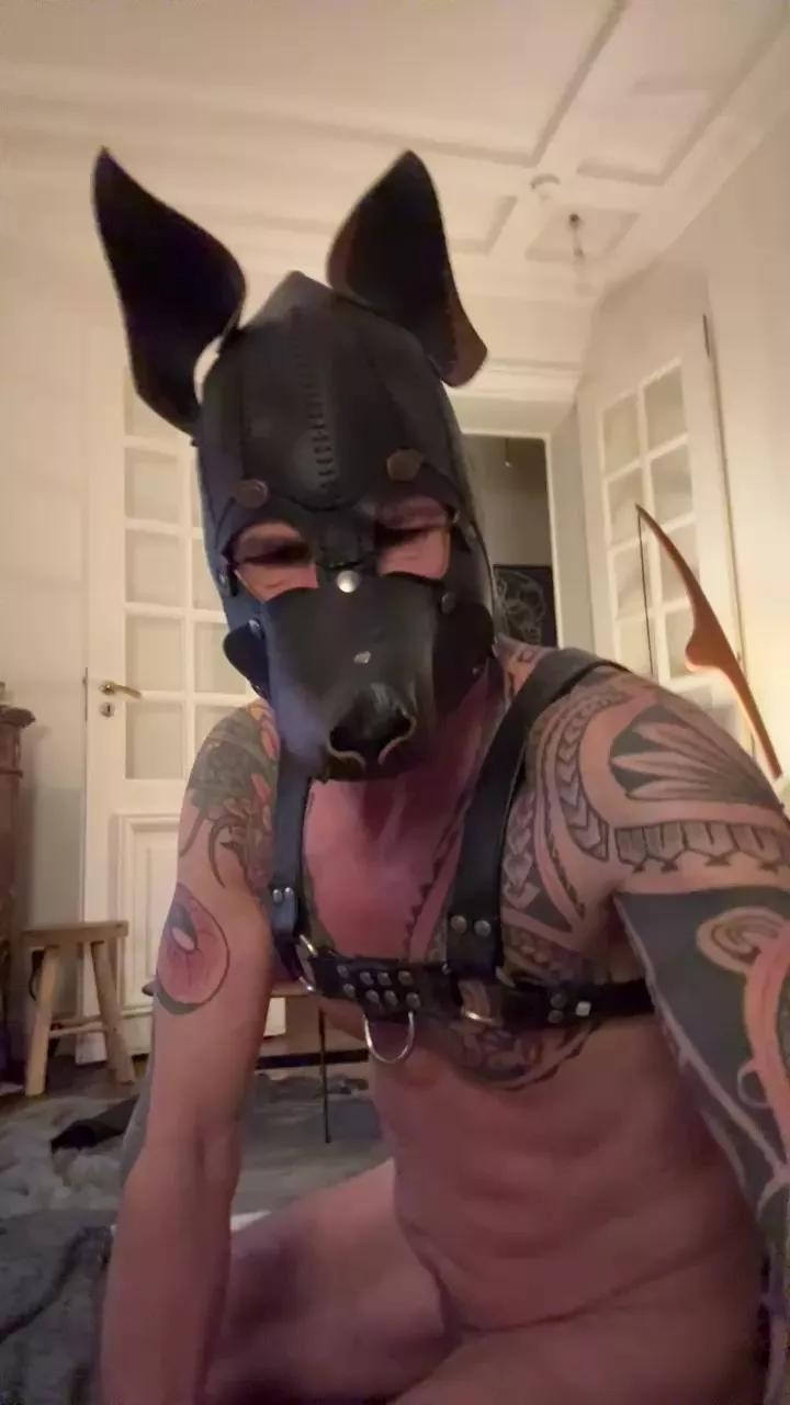 couplefist1 on Cam4 