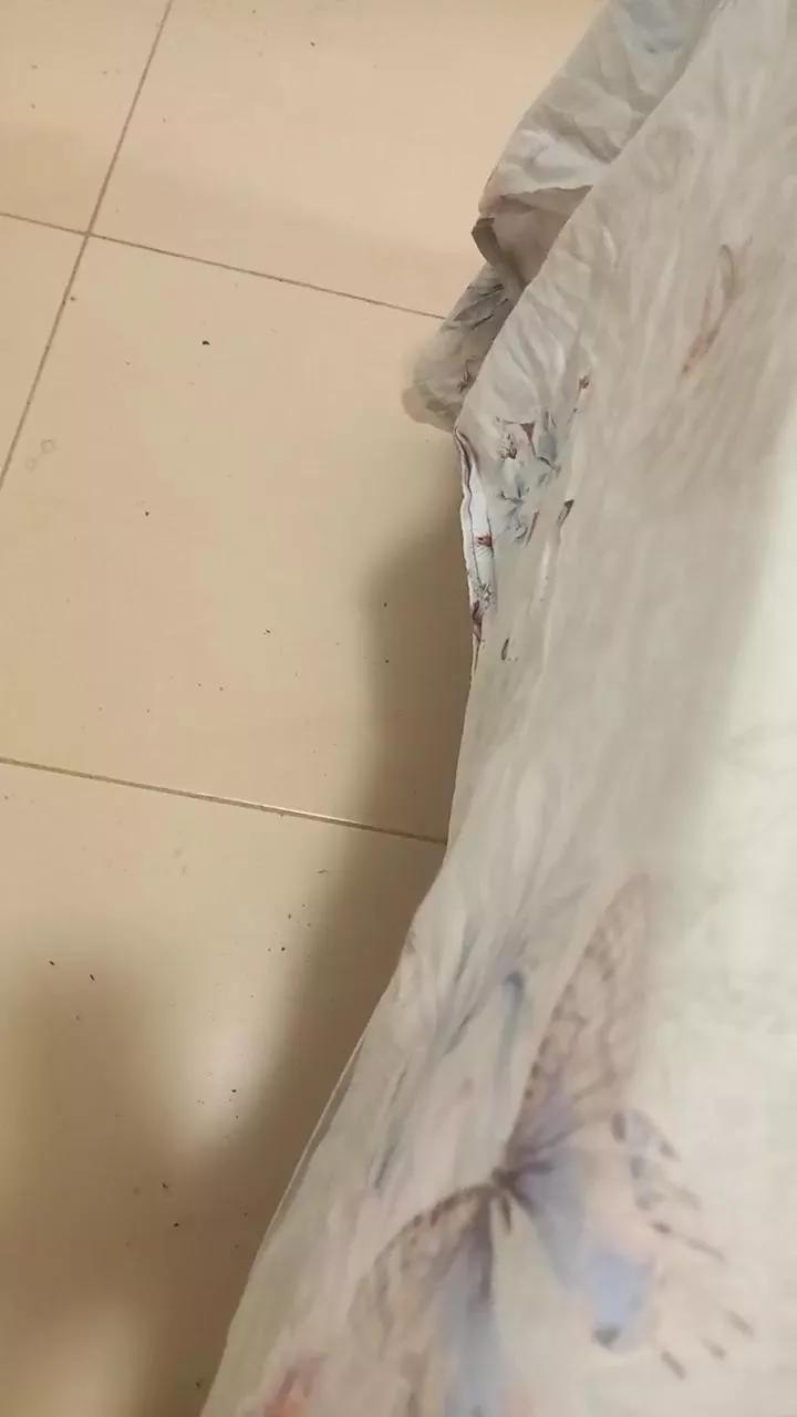 elgefe80 on Cam4 