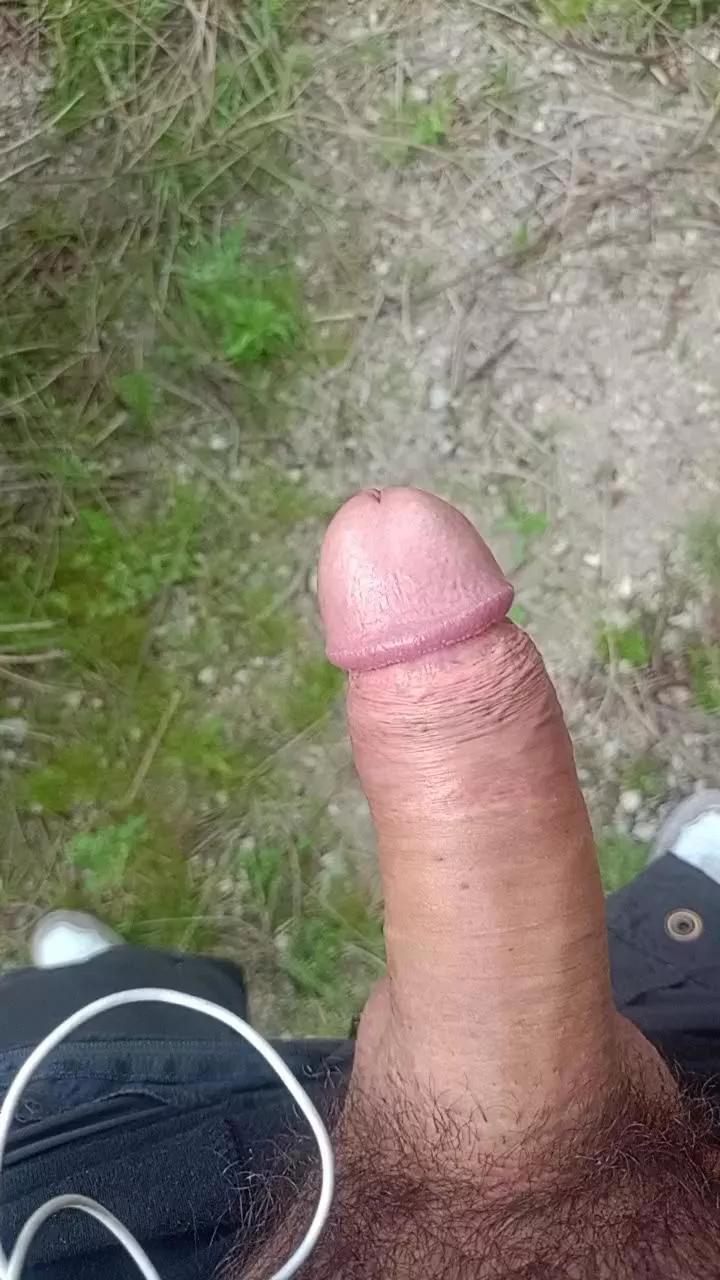 Gallumbero2 on Cam4 
