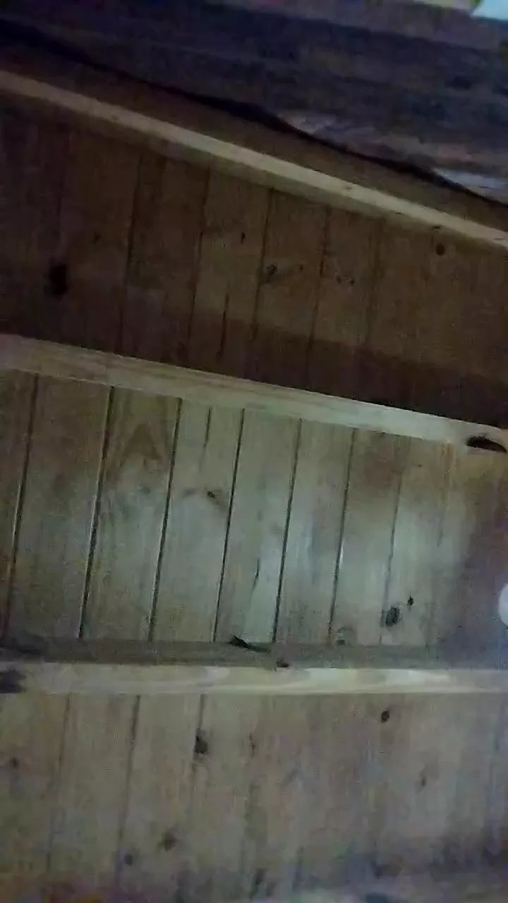 Offline juanit19 on Cam4