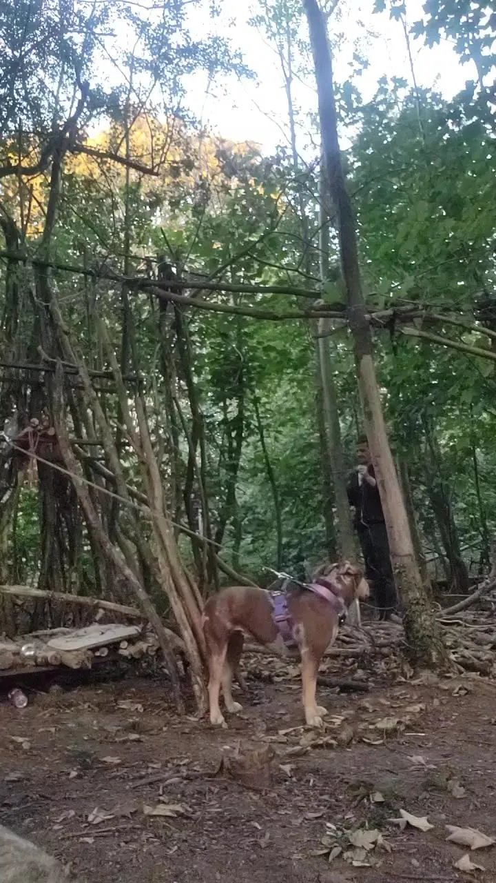 Offline kinkycouple4mo4 on Cam4