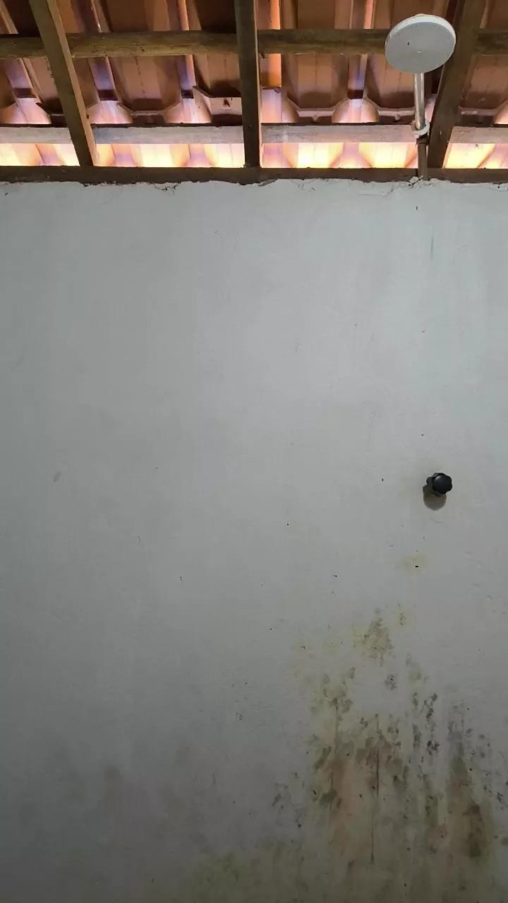 NovinPauzudoo on Cam4 