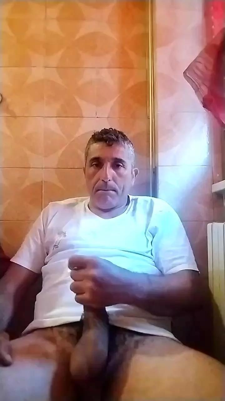 Porcellinii on Cam4 