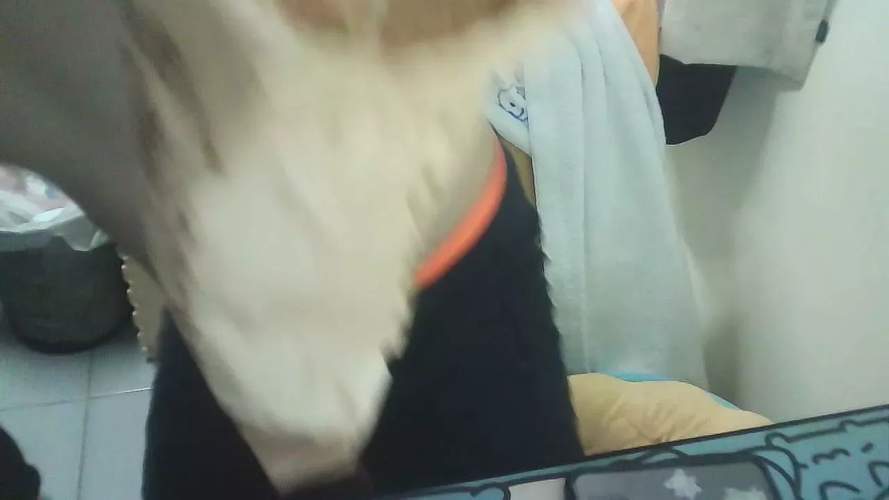 Offline PUZHIJUN on Cam4