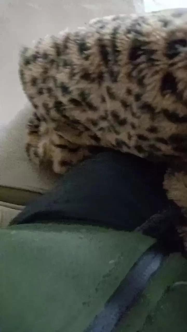 sikici20 on Cam4 