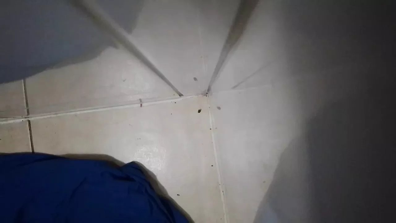 Offline Sofia2024cl on Cam4