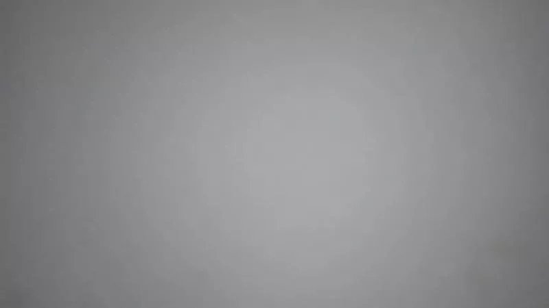 Offline Sofia2024cl on Cam4