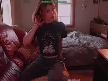 Freechat petitecut on Chaturbate
