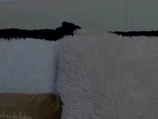 ailsie_west on Flirt4Free 