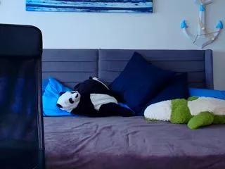 craig_kane on Flirt4Free 