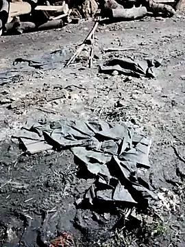 Freechat Ankitahot1993 on StripChat