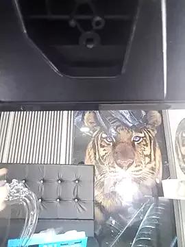 Cerecitaa02_ on StripChat