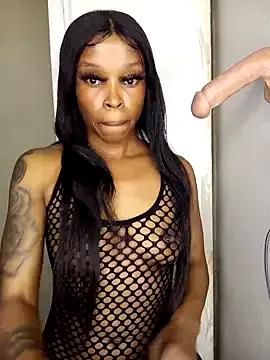 Freechat DickDiva1 on StripChat