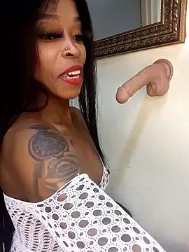 Freechat DickDiva1 on StripChat