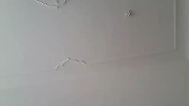 Elenascrib on StripChat