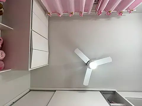 Offline lariic on StripChat