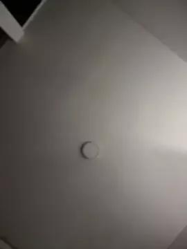 MichelleFerry_ on StripChat