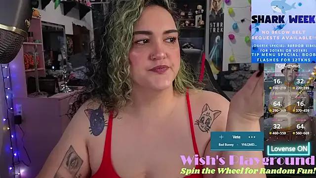 nevermakeawish on StripChat