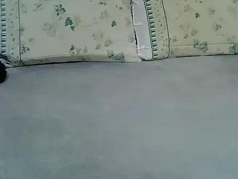 qunnoz01 on StripChat