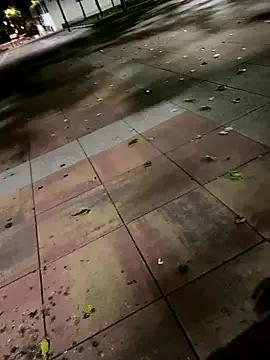 ToAnWTW on StripChat