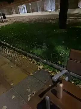 ToAnWTW on StripChat