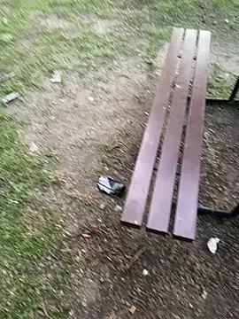 ToAnWTW on StripChat